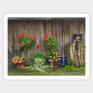 Farm Still Life in Austria Sticker